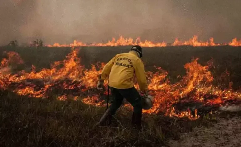 governo-propoe-prisao-de-ate-18-anos-para-quem-causar-incendios-florestais