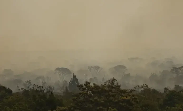 brasil-em-chamas:-com-quase-85-mil-focos,-setembro-foi-o-pior-mes-do-ano-em-incendios-florestais