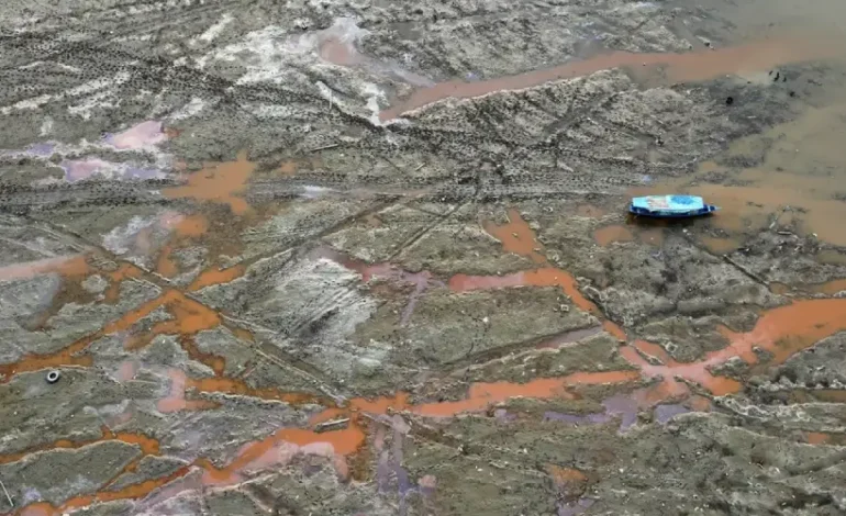 lagos-amazonicos-onde-mais-de-300-botos-morreram-em-2023-estao-ainda-mais-quentes-neste-ano