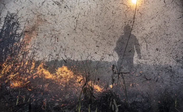 acoes-judiciais-passam-a-cobrar-dano-climatico-por-desmatamento-e-queimada