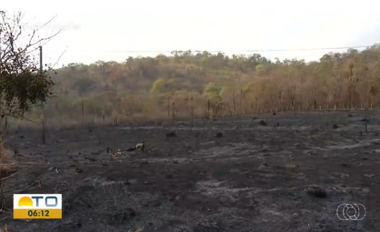 incendio-provoca-destruicao-e-deixa-prejuizos-em-plantacoes: