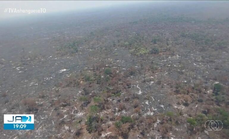 combate-a-incendios-e-encerrado-na-mata-do-mamao: