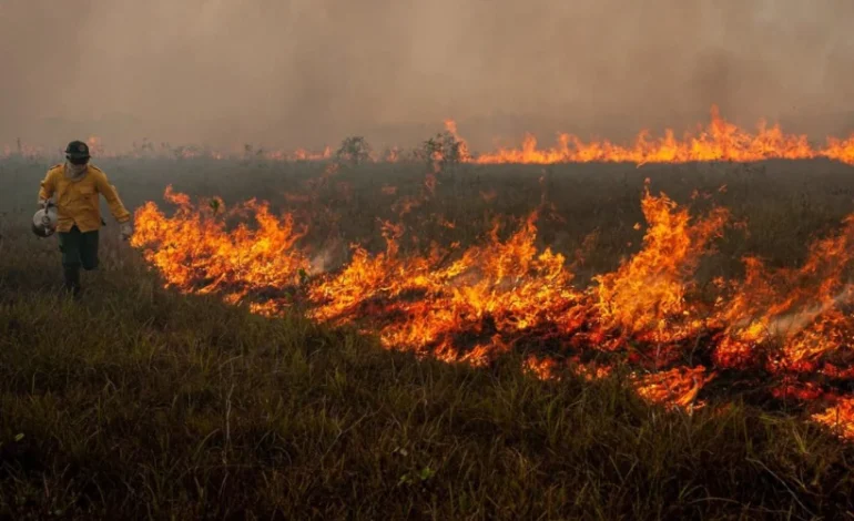 brasil-em-chamas:-apos-dias-de-queda,-numero-de-focos-de-incendio-volta-a-subir