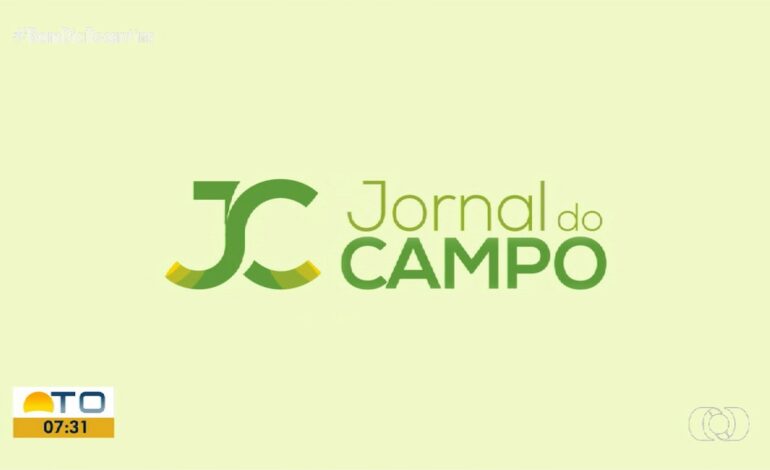 videos:-bom-dia-tocantins-de-sexta-feira,-11-de-outubro-de-2024