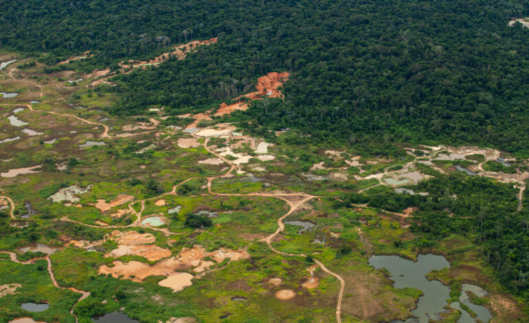violencia-no-campo-e-desafio-no-caminho-do-para-para-a-cop30