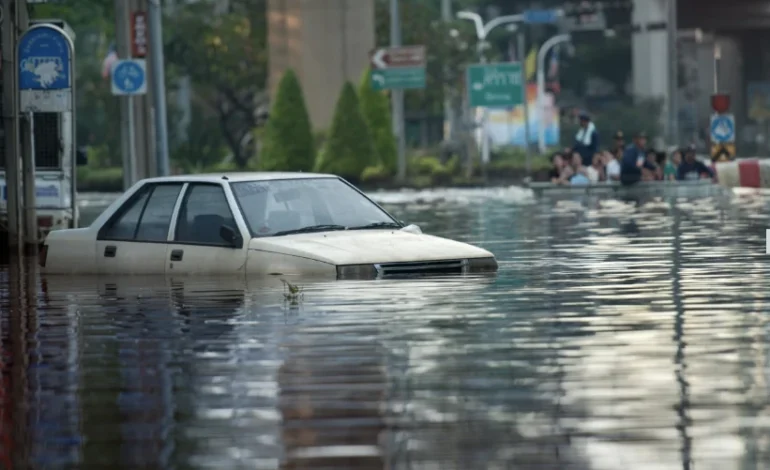 extremos-climaticos:-a-natureza-da-conta-de-se-regenerar?