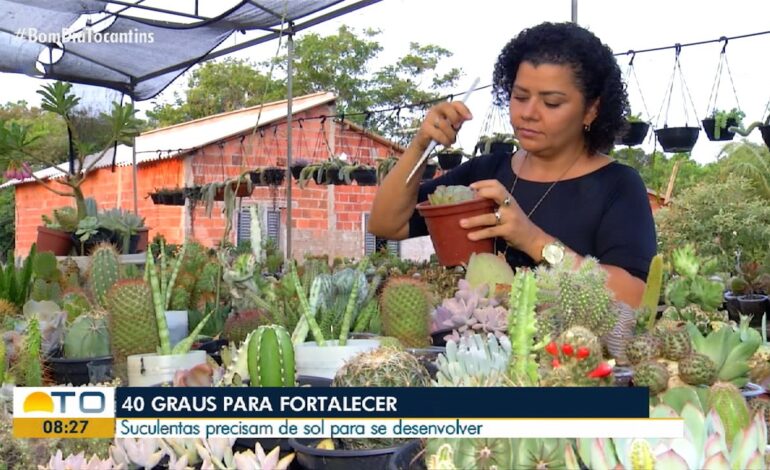 videos:-bom-dia-tocantins-de-terca-feira,-15-de-outubro-de-2024