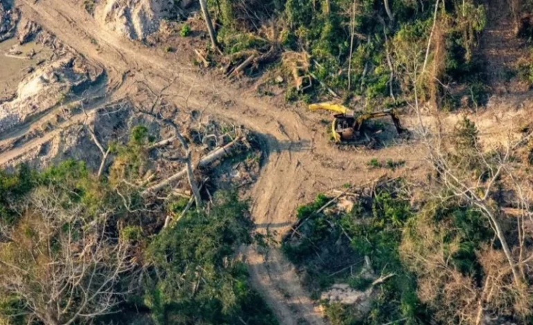 desmatamento-fragmenta-amazonia-e-isola-quase-um-quarto-da-floresta