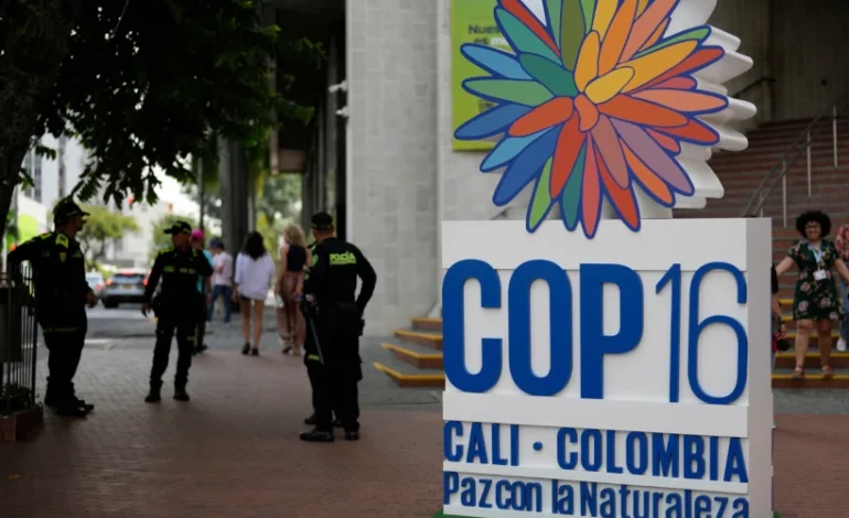 sob-forte-esquema-de-seguranca,-cop16-de-biodiversidade-comeca-na-colombia