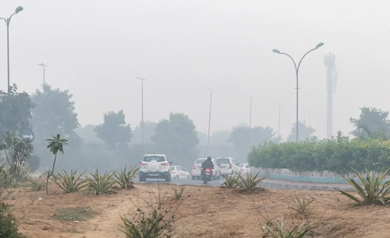 poluicao-do-ar-se-intensifica-e-india-declara-emergencia-publica