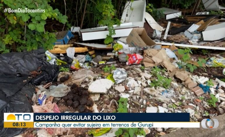 videos:-bom-dia-tocantins-de-terca-feira,-19-de-novembro-de-2024