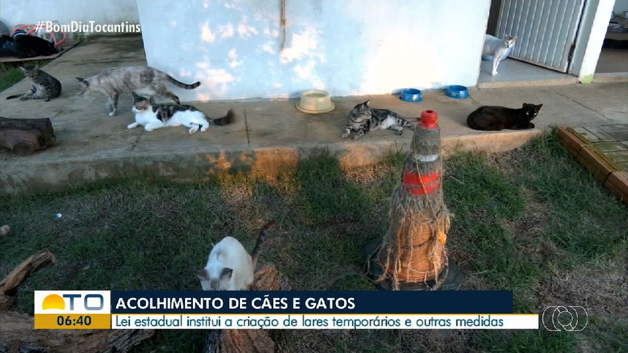 VÍDEOS: Bom dia Tocantins de sexta-feira, 29 de novembro de 2024