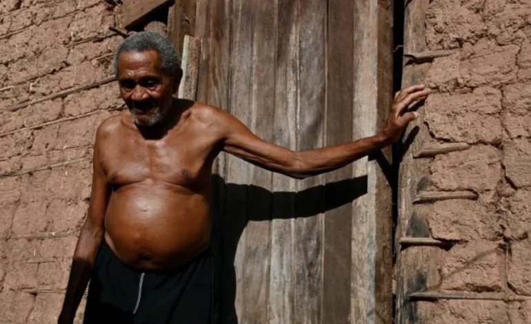 porcos-e-galinhas-viram-moeda-de-troca-na-exploracao-de-gas-fossil-no-maranhao