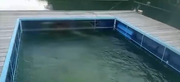 homem-que-caiu-em-rio-e-encontrado-morto-apos-dois-dias-desaparecido