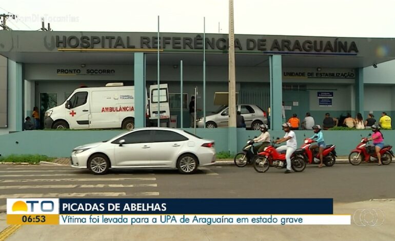 videos:-bom-dia-tocantins-de-terca-feira,-3-de-dezembro-de-2024