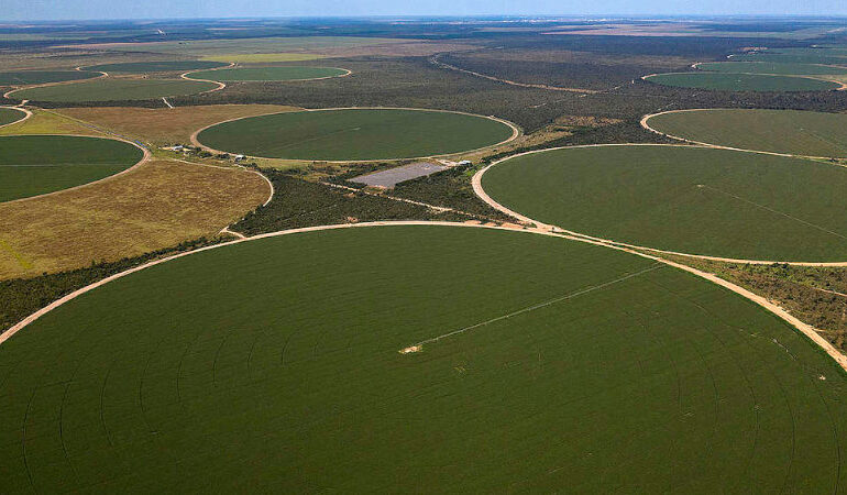 traders,-agronegocio-e-politicos-atacam-moratoria-da-soja-na-amazonia