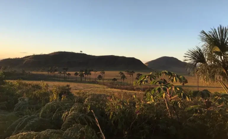 area-degradada-cresce-e-ameaca-vida-humana-no-planeta