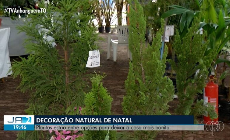 videos:-jornal-anhanguera-2a-edicao-to-de-sabado,-7-de-dezembro-de-2024