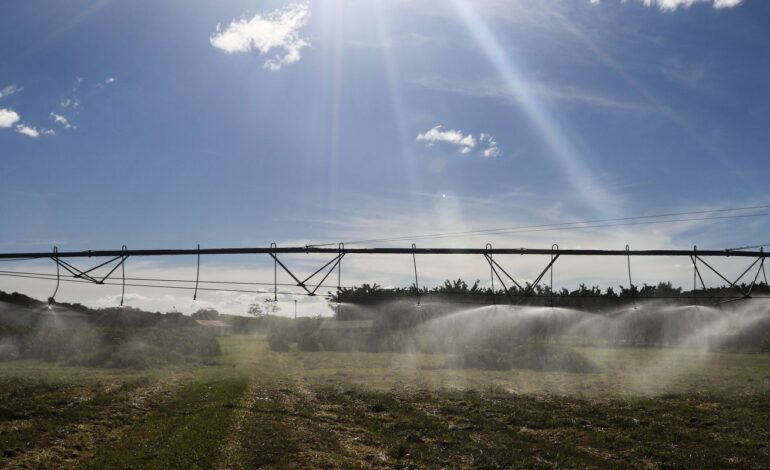 entenda-como-ficam-as-exportacoes-agricolas-apos-acordo-mercosul-ue