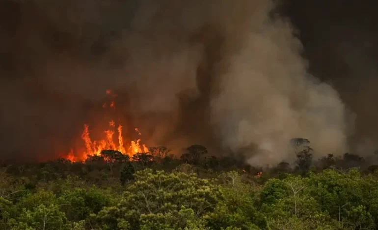 incendios-na-amazonia-e-pantanal-puxam-recorde-de-emissoes-de-carbono-em-2024