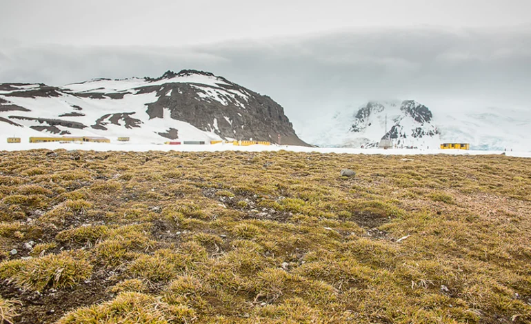 terras-aridas-agora-cobrem-40%-do-solos-do-planeta,-excluindo-a-antartica