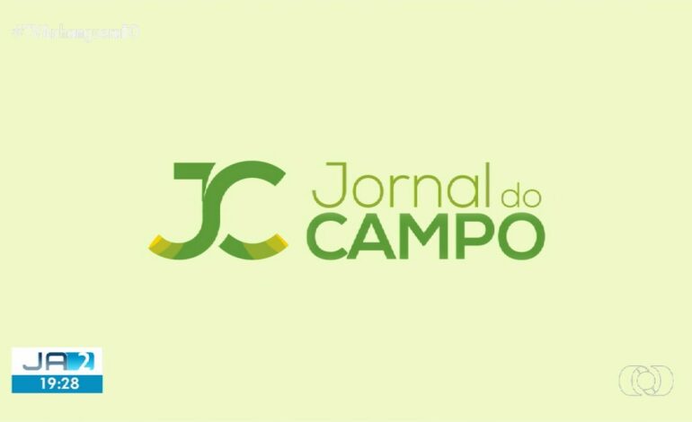 videos:-ja-2a-edicao-to-de-sabado,-14-de-dezembro-de-2024