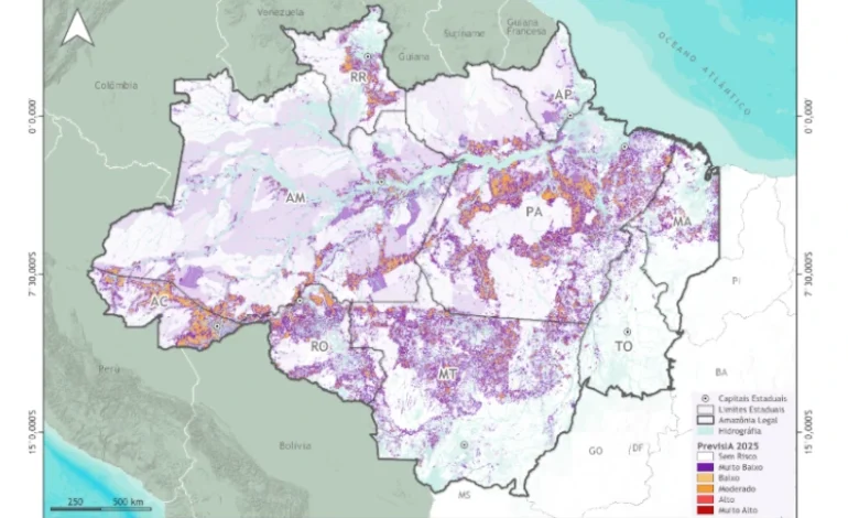 inteligencia-artificial-identifica-risco-de-desmatamento-para-6,5-mil-km2-na-amazonia-em-2025