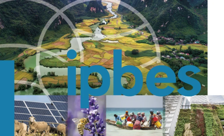 mudancas-climaticas-levarao-a-perda-irreversivel-da-biodiversidade,-aponta-ipbes
