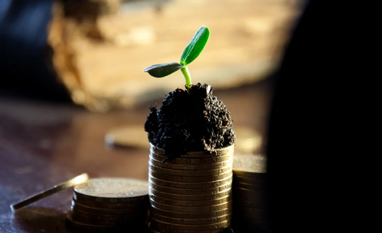 equador-converte-divida-de-us$-1,5-bilhao-em-protecao-da-amazonia