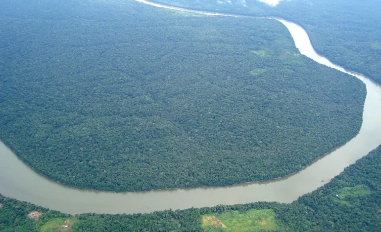 deputados-do-mato-grosso-aprovam-lei-que-“transforma”-amazonia-em-cerrado