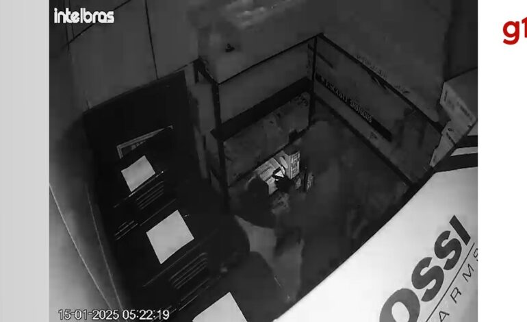 video:-criminosos-furtam-loja-de-caca-e-pesca-e-levam-mais-de-30-armas-de-fogo-e-municoes