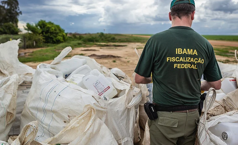 ibama-tem-recorde-de-arrecadacao-com-multas-ambientais-em-2024