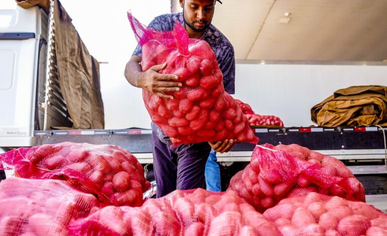 conab-aponta-queda-de-preco-da-batata-e-alta-da-cebola-e-tomate