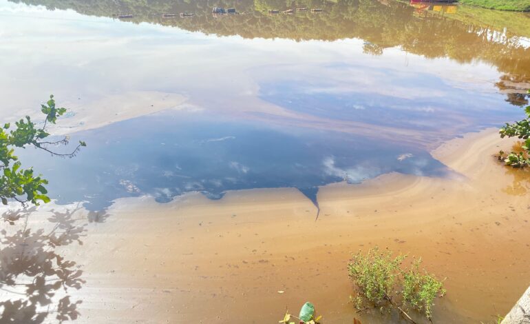 oleo-despejado-em-corrego-pode-contaminar-praia-e-lago-de-palmas,-diz-guarda-ambiental
