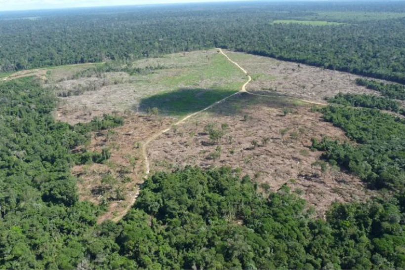 Governo deve esclarecer pontos de plano de proteção da Amazônia ao STF