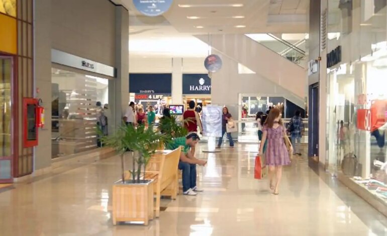 mercado-de-franquias-cresce-13,5%-e-fatura-r$-273-bilhoes-em-2024