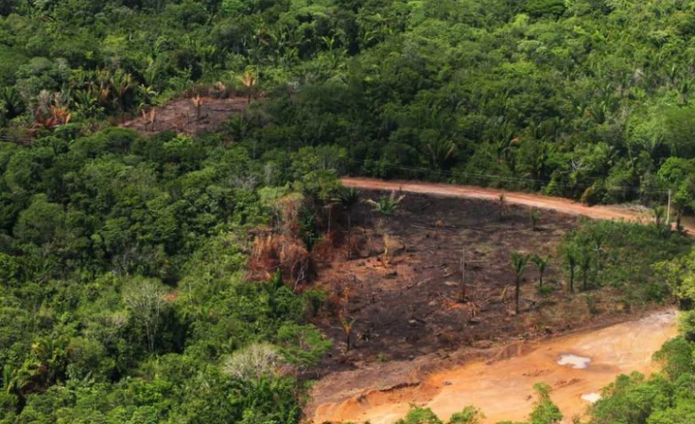 bndes-bloqueia-r$-728-mi-em-credito-rural-para-desmatadores