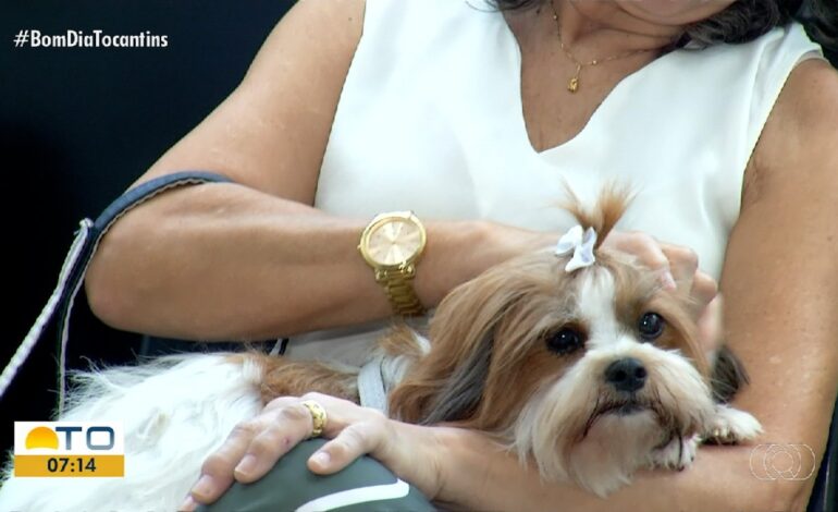 videos:-bom-dia-tocantins-de-quinta-feira,-6-de-fevereiro-de-2025