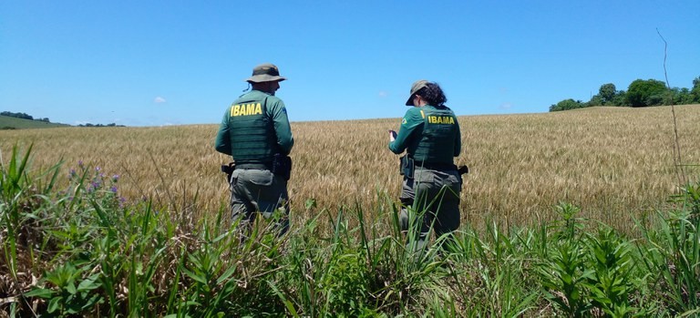 concursos-e-selecoes-oferecem-salarios-de-ate-r$-13,9-mil-no-tocantins;-confira