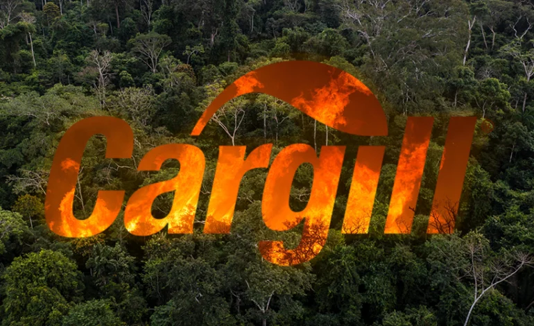 desmatamento:-cargill-indica-que-abandonara-moratoria-da-soja