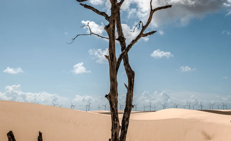 95%-dos-paises-nao-cumprem-prazo-da-onu-para-entrega-das-metas-climaticas