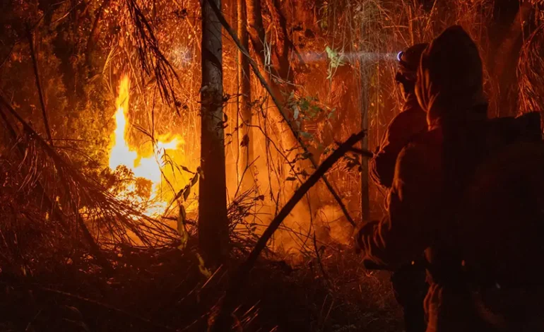 trump-suspende-parceria-no-combate-a-incendios-florestais-no-brasil