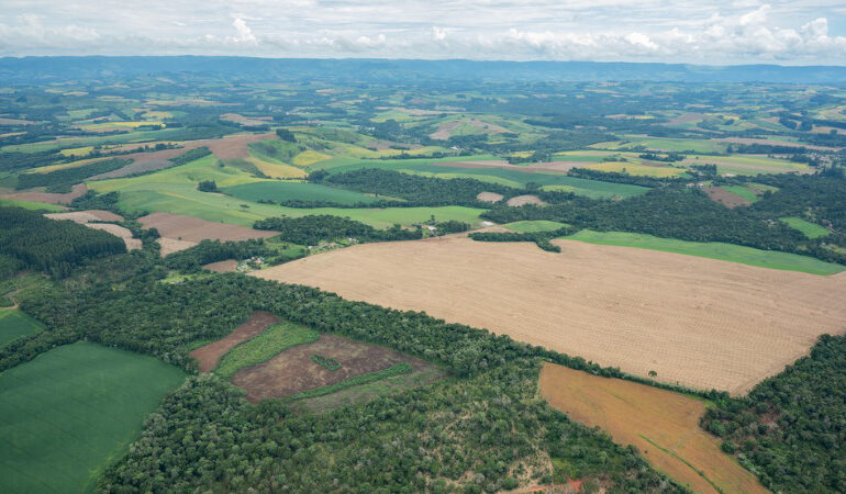 mata-atlantica-perde-200-mil-campos-de-futebol-de-vegetacao-em-10-anos