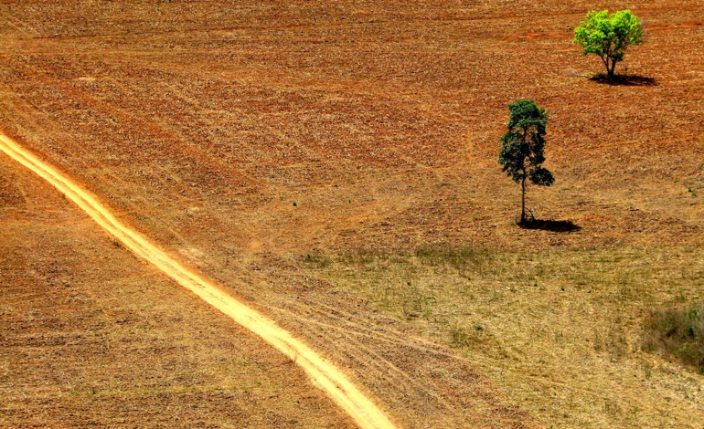 bancos-publicos-e-privados-financiam-desmatamento-no-sul-da-amazonia-–-climainfo