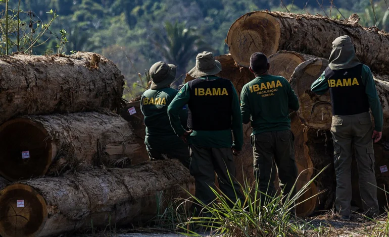 ibama-multa-bb,-bnb-e-bsas-por-financiarem-desmatamento-ilegal-–-climainfo