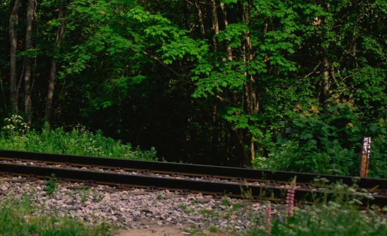 pesquisadores-apontam-falhas-em-novos-estudos-sobre-a-ferrograo-–-climainfo