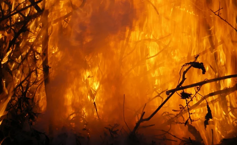coreia-do-sul-sofre-com-incendios-florestais,-que-mataram-mais-de-20-pessoas-–-climainfo