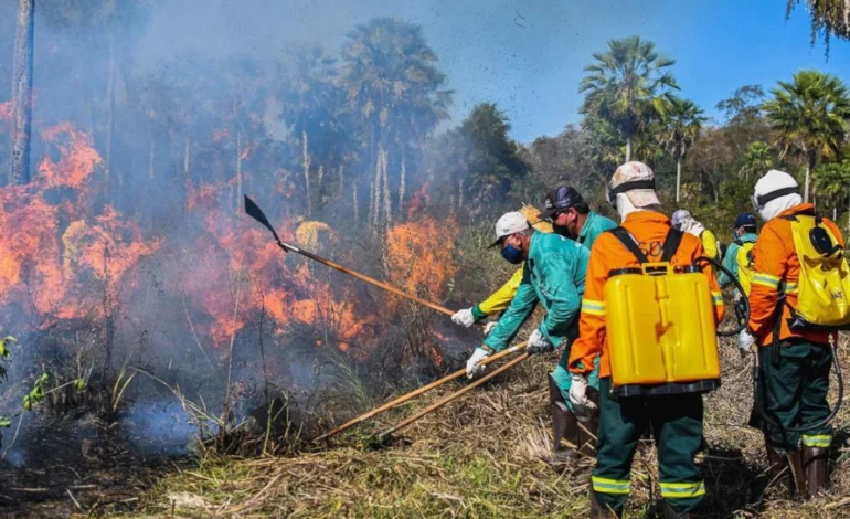 governo-do-ms-vai-investir-r$-1,4-bi-ate-2030-na-protecao-do-pantanal-–-climainfo