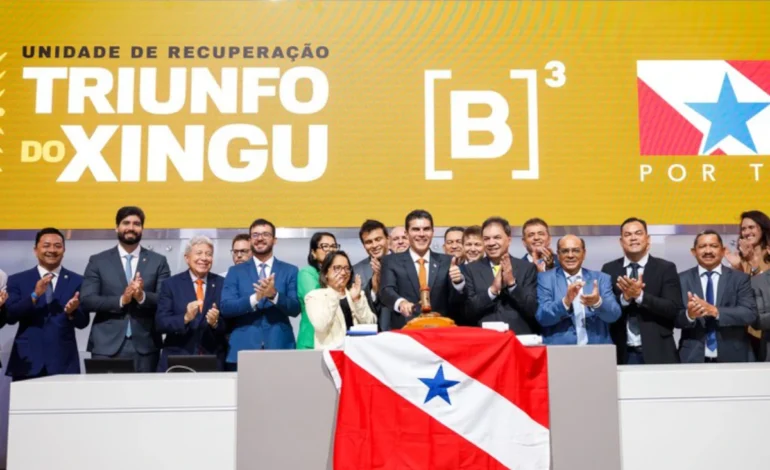 Concessão para reflorestamento da Amazônia estreia com baixa demanda – ClimaInfo