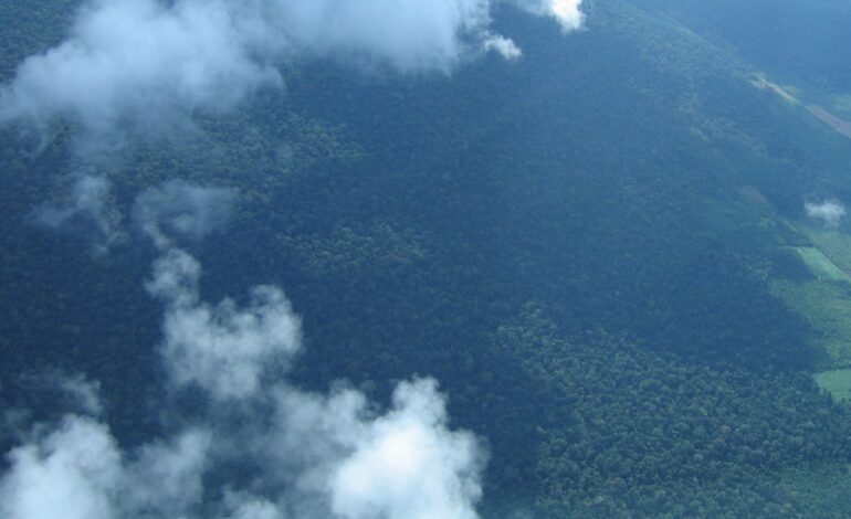 petrobras-comprara-r$-450-milhoes-em-creditos-de-carbono-na-amazonia